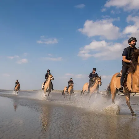 Les Asteries 24 - Duplex Quend-Plage