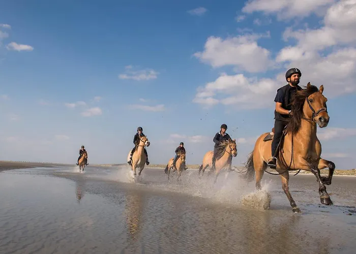 Les Asteries 24 - Duplex Quend-Plage